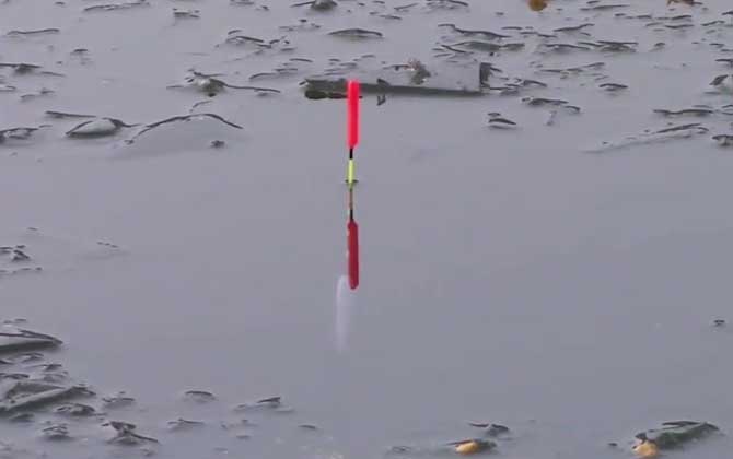 手竿野钓用什么漂好用